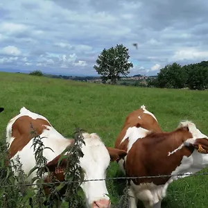 Séjour chez l'habitant D'hôtes Les Myriades D'or